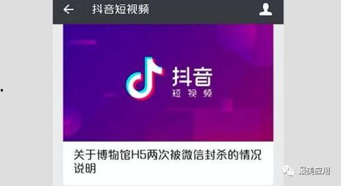 视频爆料 入口在哪里看,一探究竟，轻松获取最新资讯  第3张